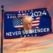 Trump Mugshot Never Surrender Flag Trump 2024 Flag For Sale MAGA Merch