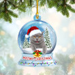 Cat Meowy Christmas Ornament Cute Xmas Tree Decorating Gift Ideas For Cat People