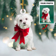 Personalized Image Golden Retriever Ornament Dog Lover Christmas Ornament Pics
