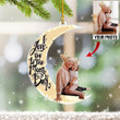Personalized Photo Family Christmas Ornaments Xmas Tree Decor I Love You To The Moon And Back