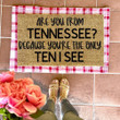Are You From Tennessee Because You're The Only Ten I See Doormat Valentine Day Doormat Decor