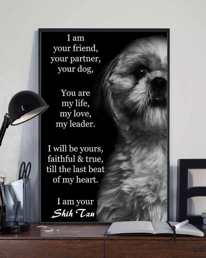 Shih Tzu I Am Your Friend Poster, Dog Decorations Dog Wall Art