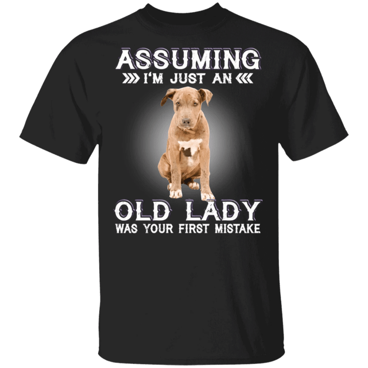 Assuming I'm Just An Old Lady - Pit Bull Shirts With Quotes Funny Gag Gifts For Womens