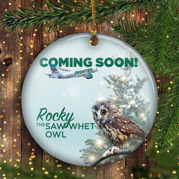 Rocky Rockefeller Saw Whet Owl Ornament Cute Owl Ornaments For Christmas Tree