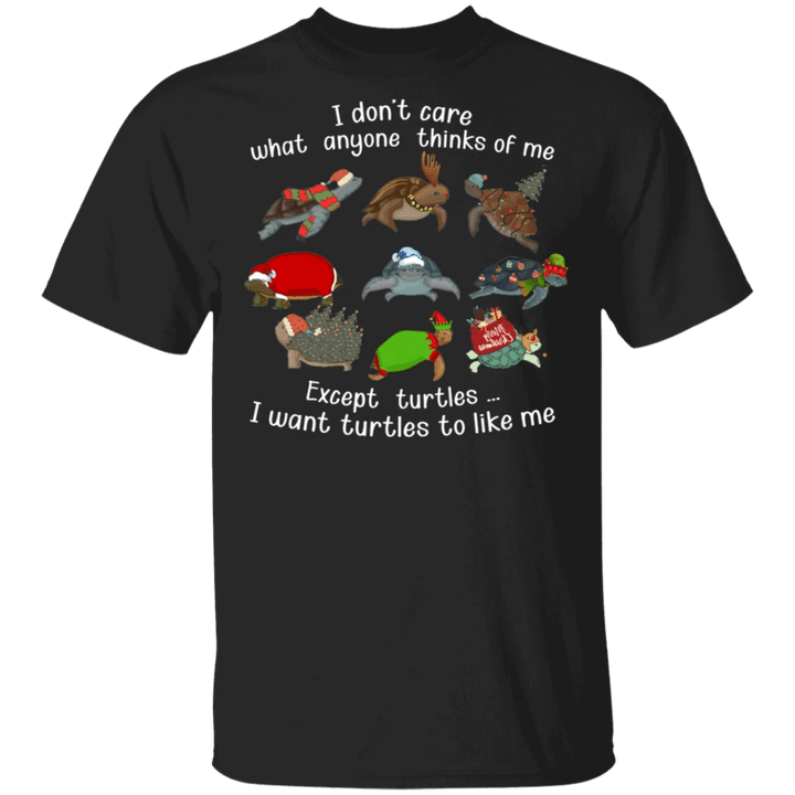 Turtle I Don't Care What Anyone Thinks Of Me Shirt Funny Xmas Costume Christmas Present