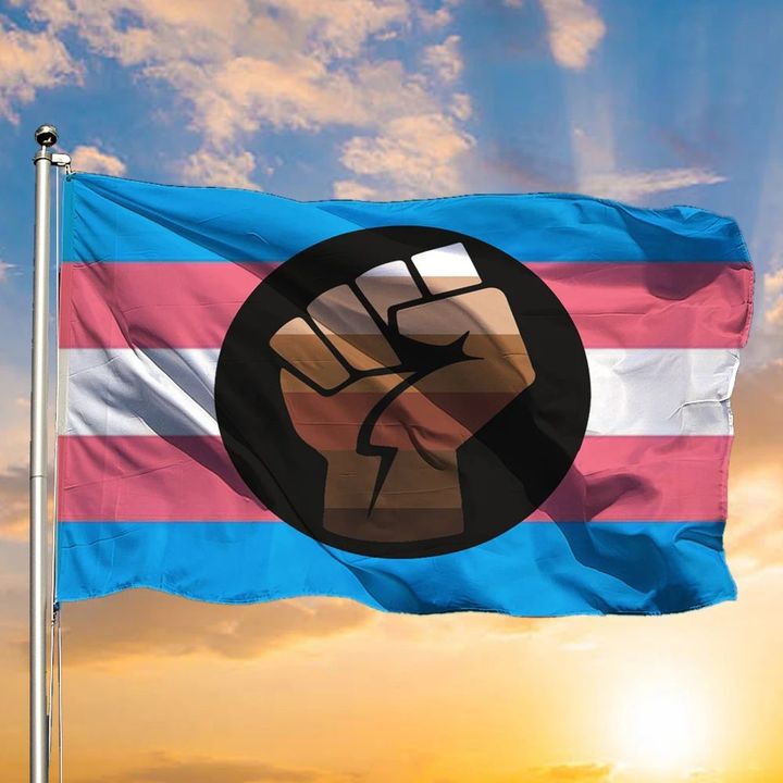 Trans Flag For Transgender Day Of Remembrance 2020 LGBT Blue Pink White Transgender Flag