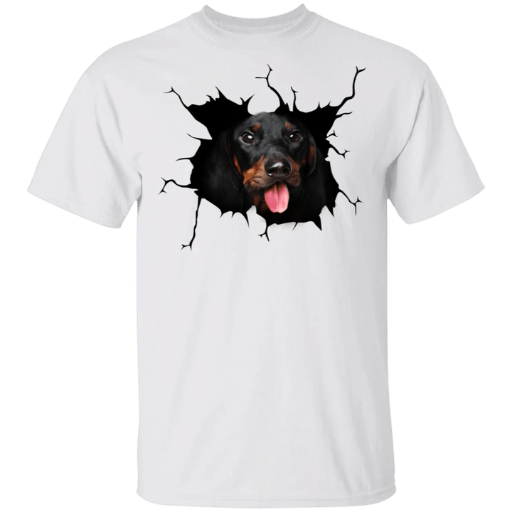 Dachshund Came Out T-Shirt Cute Dachshund Clothes For Human Weiner Dog Shirt For Men Women