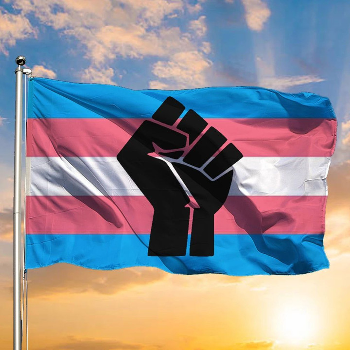 Transgender Flag Trans Pride Flag Transgender Day Of Remembrance 2020 Power Fist LGBT