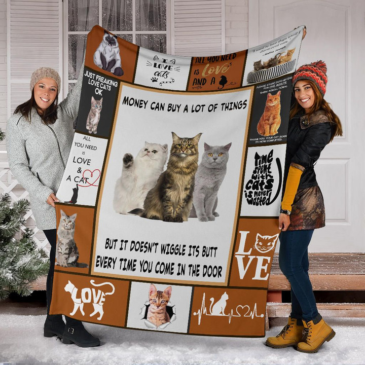 Cats Money Can Buy A Lot Of Things Fleece Blanket Cute Funny Blanket For Cat Lover Owner Gift