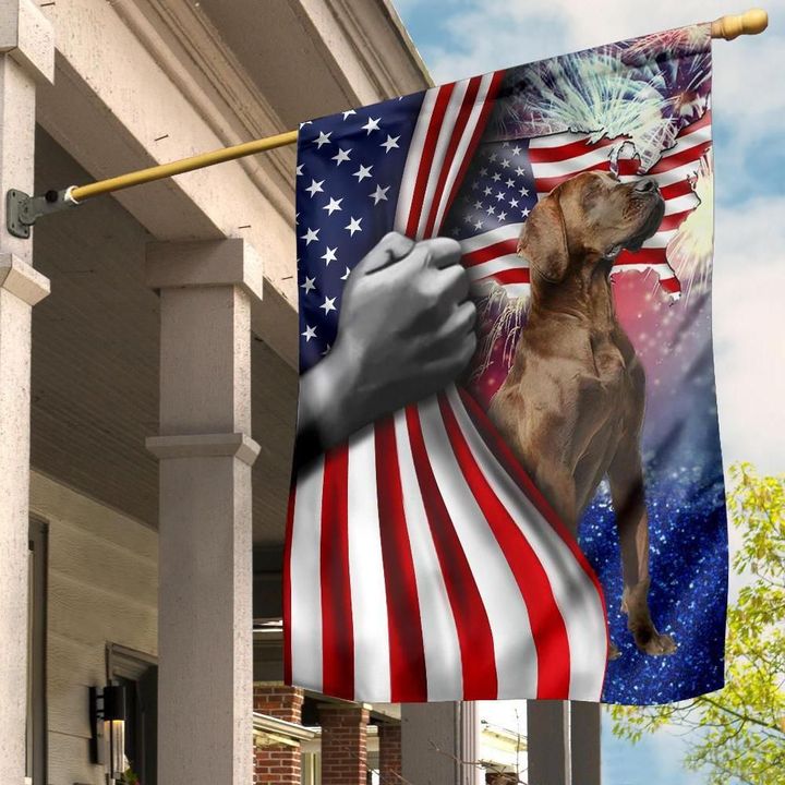 Great Dane Inside American Flag Dog Patriotic Independence Day 4Th Of July Decorations Outdoor