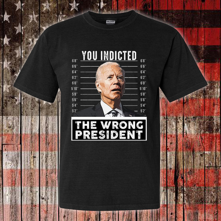 Biden Mugshot Shirt Anti Biden You Indicted The Wrong President T-Shirt Trump Mugshot Tee Shirt