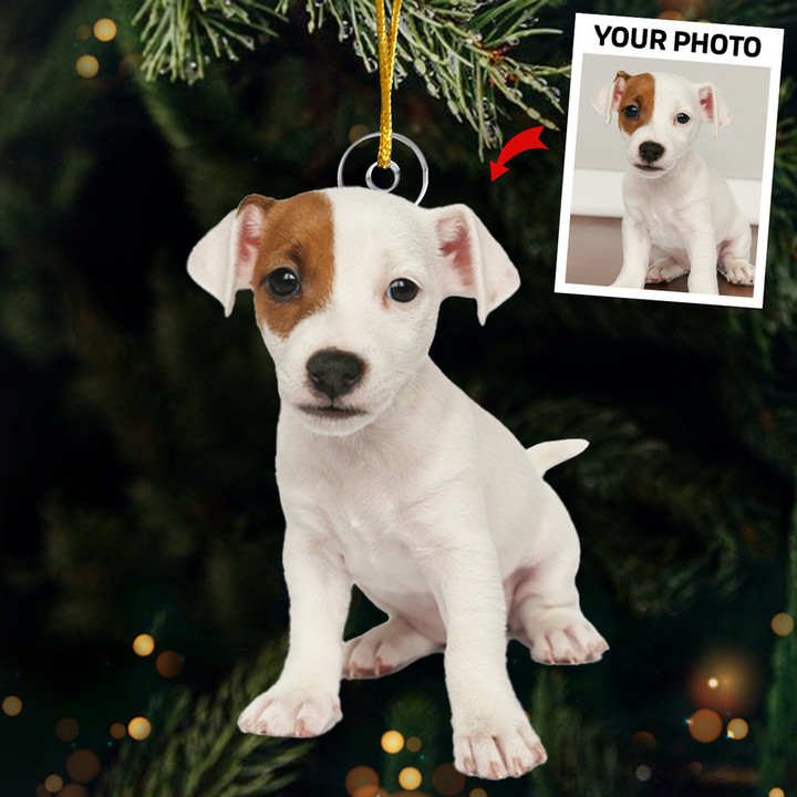 Custom Dog Photo Russell Terrier Christmas Ornament Personalized Dog Picture Ornaments