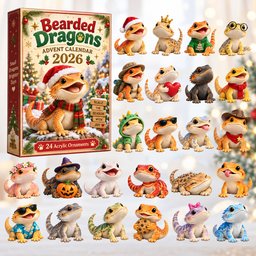 Bearded Dragons Christmas Advent Calendar Counting Down Calendar Dragon Lovers Xmas Gifts
