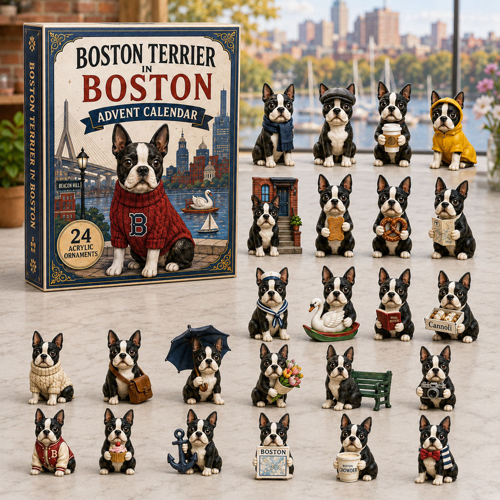 Boston Terrier In Boston Christmas Advent Calendar Counting Down Boston Terrier Lovers Xmas Gifts_