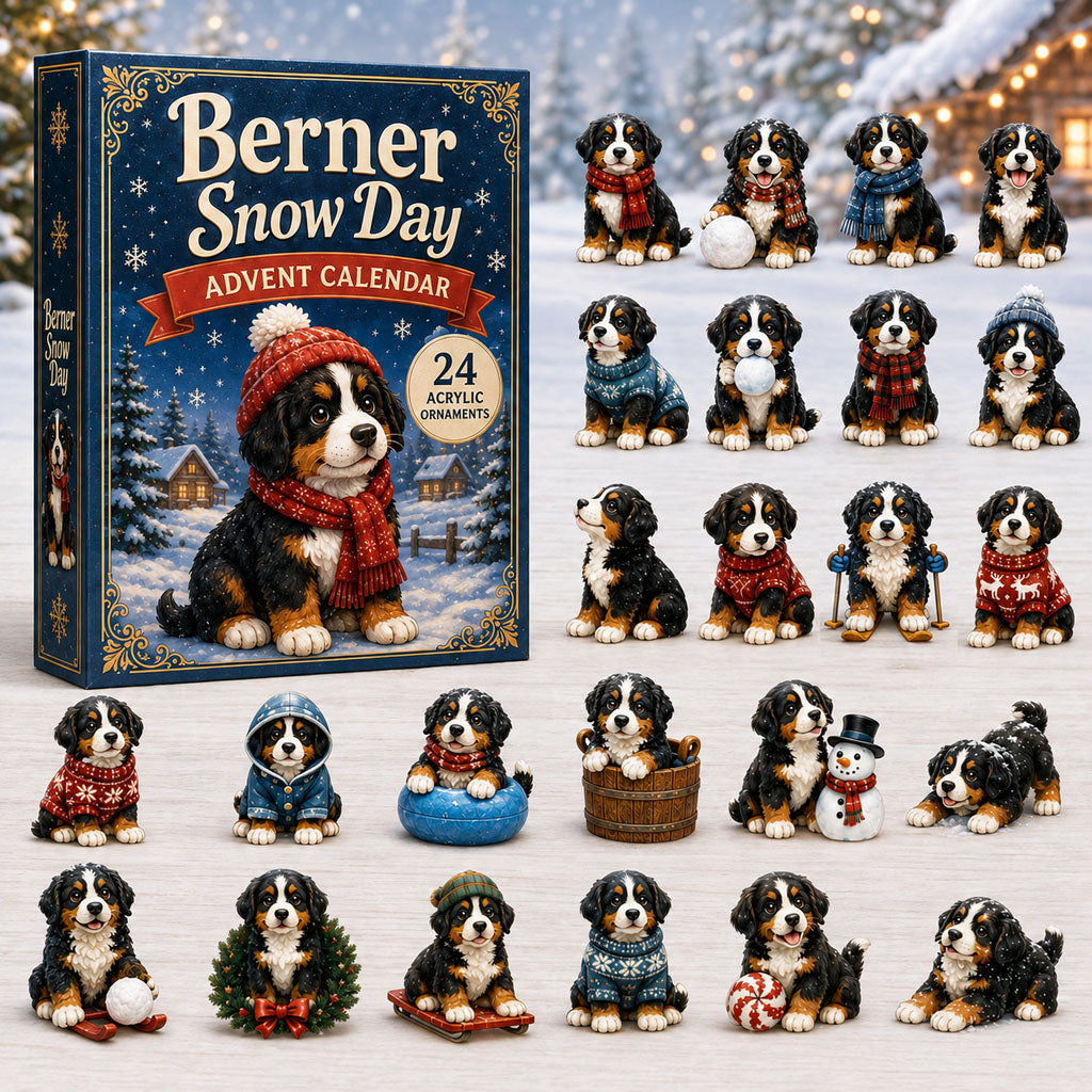 Berner Snow Day Christmas Advent Calendar 2026 For Dog And Owner Xmas Gift Ideas