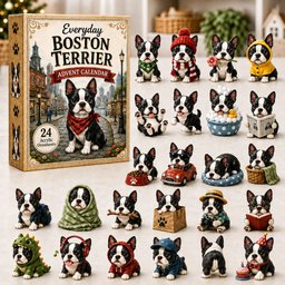 Everyday Boston Terrier Christmas Advent Calendar Xmas Countdown Boston Terrier Lovers Gifts