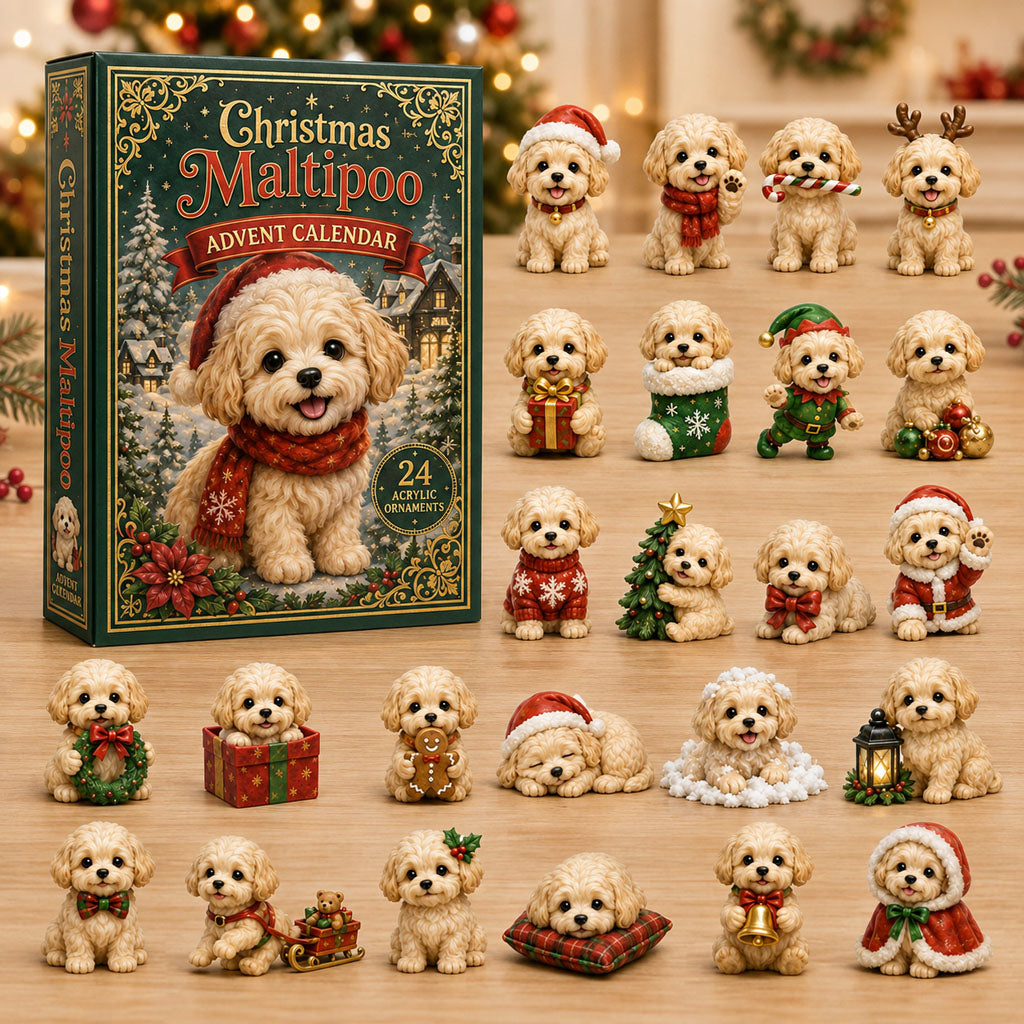 Christmas Maltipoo Xmas Advent Calendar Xmas Countdown Presents For Maltipoo Lovers