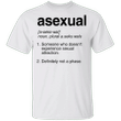 Asexual Shirt Dictionary Asexual Meaning Ace Flag Asexual Pride T-Shirt