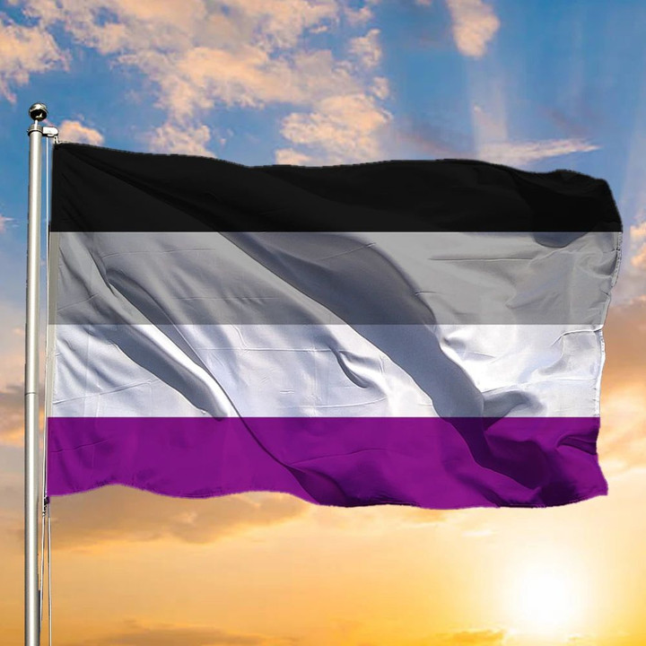 International Asexuality Day Flag LGBT Pride Asexual Flag Ace Flag Asexual Pride Flag