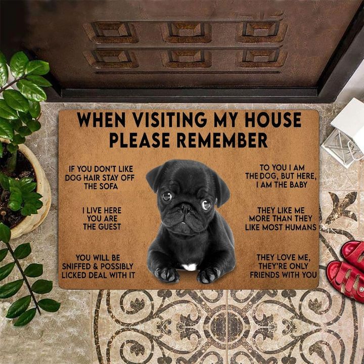 Pug Puppy When Visiting My House Remember Doormat Funny Pet Dog Front Door Mat Entry Mat
