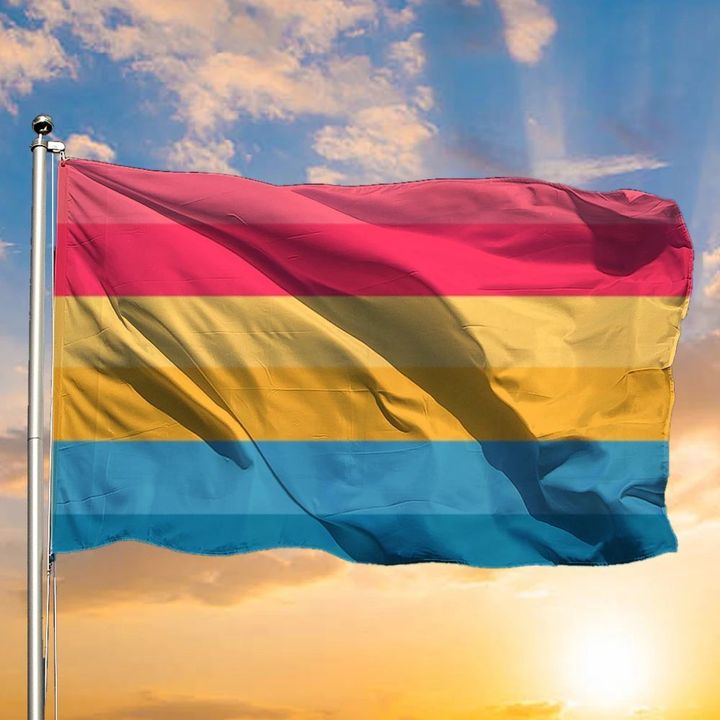New Pansexual Flag LGBT Flag Gifts For Pansexuals