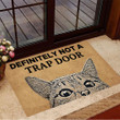 Definitely Not A Trap Door Doormat Cat Funny Doormat Outdoor For Cat Lovers