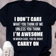 I Don't Care What You Think Of Me I'm Awesome Shirt Cool Tee Gift For Best Friend