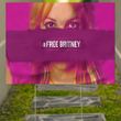 Free Britney Yard Sign Free Britney Merchandise #Free Britney Act Movement