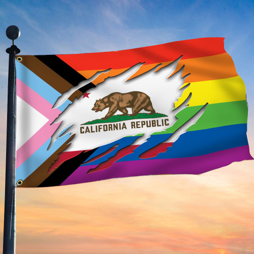 Progress Pride Flag And California Flag Support Lake Arrowhead LGBTQ Pride Merch Idea