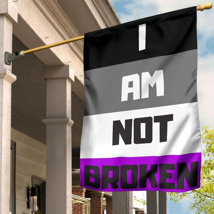 Asexual Flag I Am Not Broken International Asexuality Day LGBT Merch Ace Flag