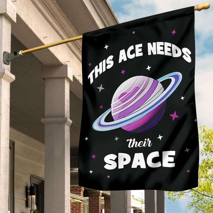Asexual Flag This Ace Needs Their Space International Asexuality Day LGBT Ace Flag