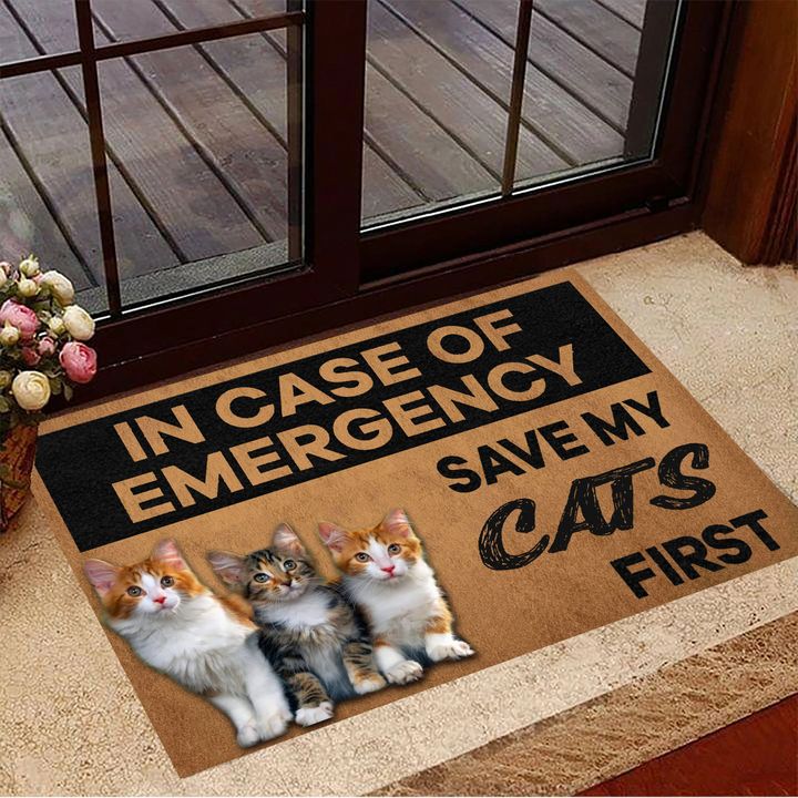 In Case Of Emergence Save My Cats First Doormat Home Decor Funny Doormats For Cat Lovers