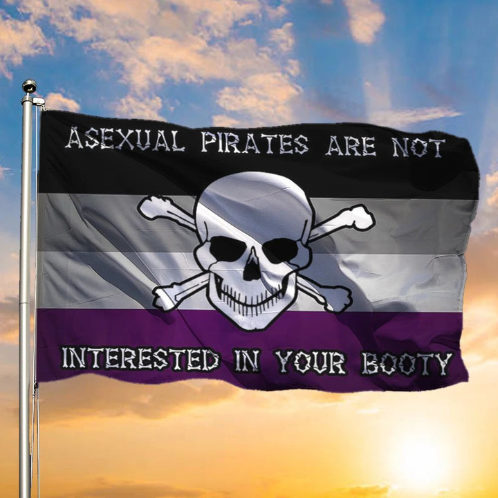 International Asexuality Day Flag Asexual Piratesa Are Not Interested In Your Booty Asexual Flag