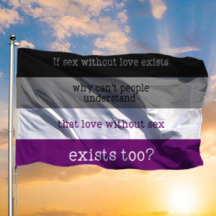 International Asexuality Day Flag If Sex Without Love Exists Lgbt Pride Asexual Flag Ace Flag