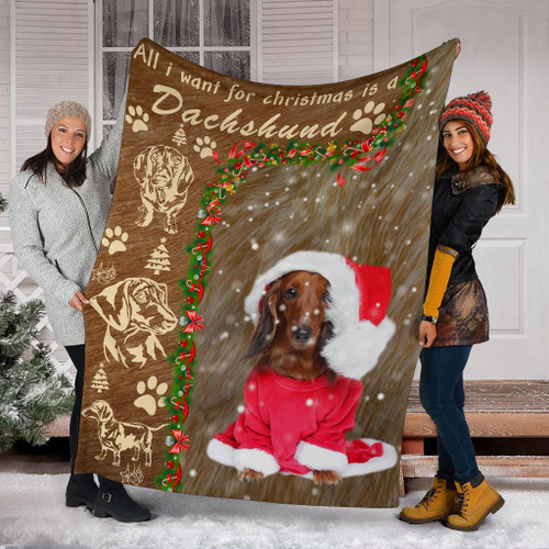 All I Want For Christmas Is A Dachshund Blanket Santa Blanket Christmas Gifts For Dog Lovers