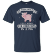 Dear Santa All I Want For Christmas Is A Pig Sweater T shirt
