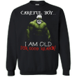 Hulk CareFul Boy I Am Old For Good Reason G180 Gildan Crewneck Pullove