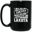 I was not born in america america was born on my land i am a lakota na