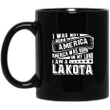 I was not born in america america was born on my land i am a lakota na