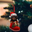 Personalized Dachshund Christmas Ornament Dog Owner Dachshund Xmas Decorations 2022