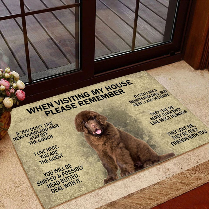 Newfoundland Dog When Visiting My House Doormat Newfoundland Dog Merchandise Gifts