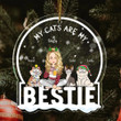 Cat Mom Funny Cartoon Cats Snowdome Ornament Christmas Cat Acrylic Ornament Xmas Tree Decor
