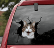 Cats Sticker Car