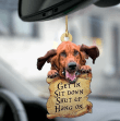 Bloodhound Ornament Car