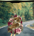 OWL Ornament Car