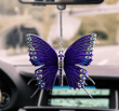 Butterfly Ornament Car