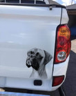 Boxer Car Sticker