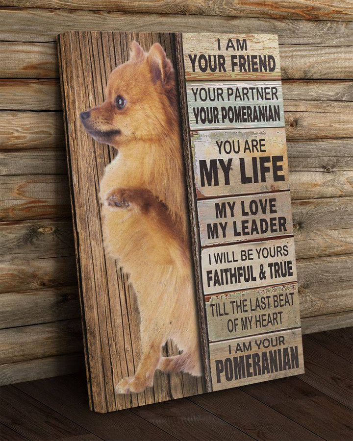 Pomeranian Canvas