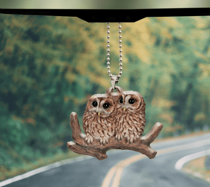 Owls Ornament Car