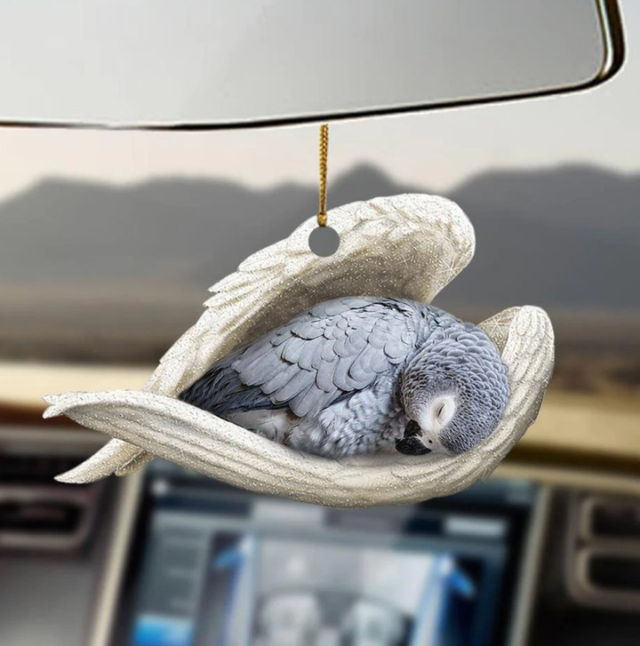 Grey Parrots Ornament Car